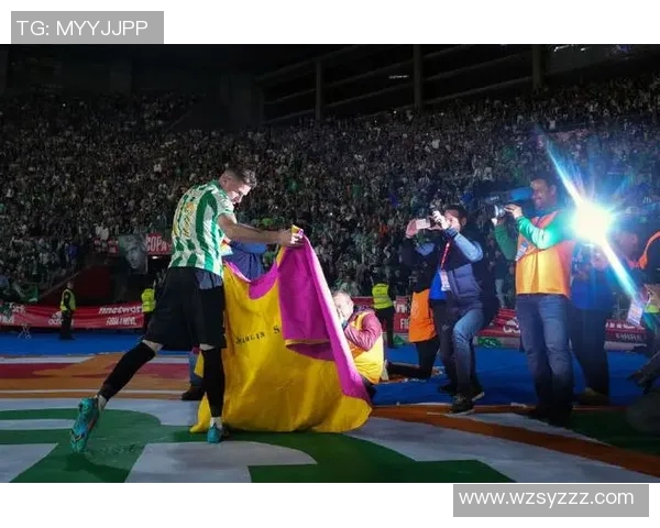 浙江足球明星风云榜揭晓他们如何在绿茵场上书写传奇